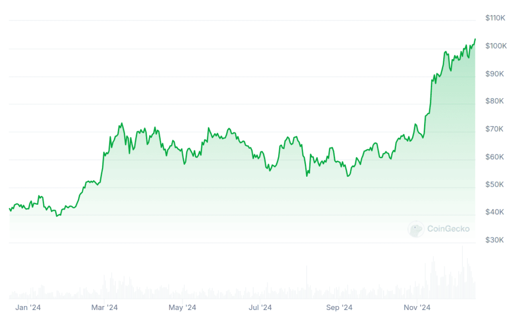 Bitcoin-Price-Chart-Full-2024-Year