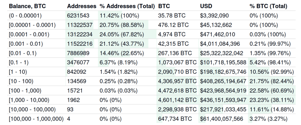 BitInfoCharts-Bitcoin-Distribution-Jan-2025